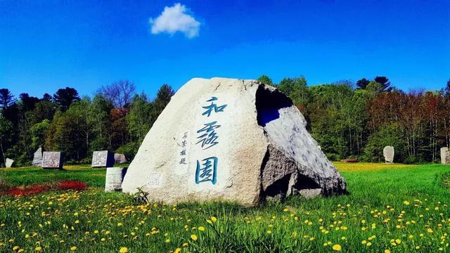 如龙0