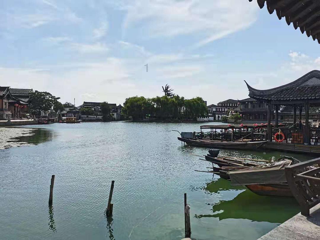 第九只兔子搞笑日常